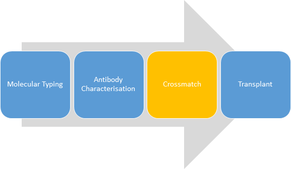 Transplant Workflow