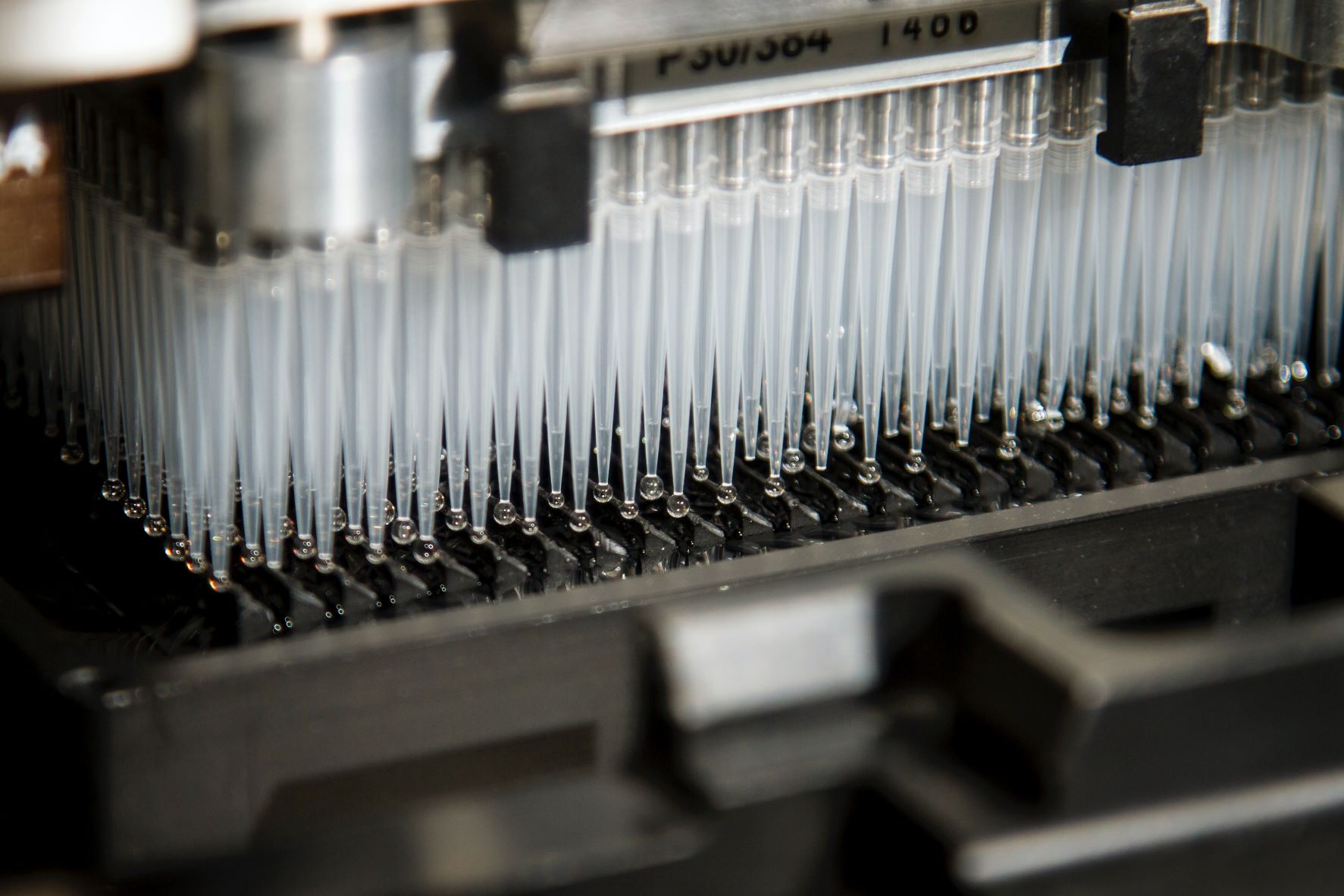 quantumseq sanger sequencing